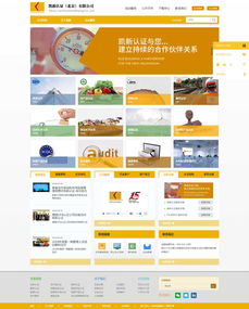 北京网站建设 原创先锋原创案例 网站建设公司